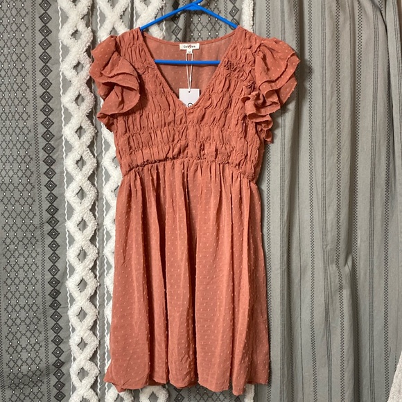 GeeGee Dresses & Skirts - GeeGee Dress - SZ Medium - Terracotta color dress w/lining, swiss dot fabric